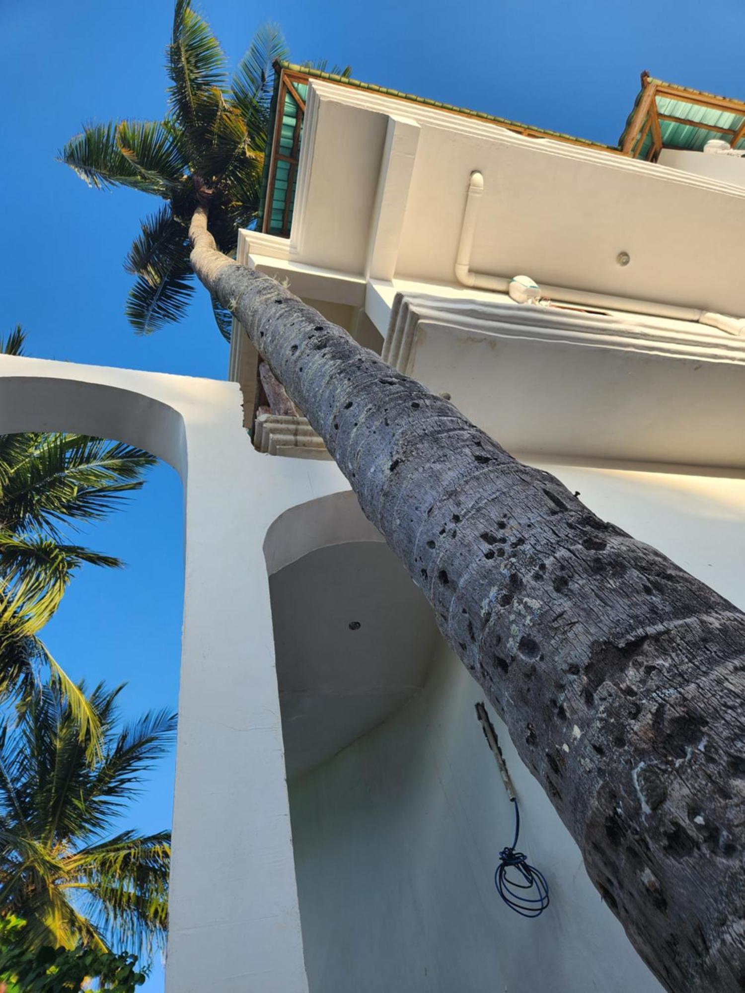 Two Palms Hotel Джамбиани Екстериор снимка